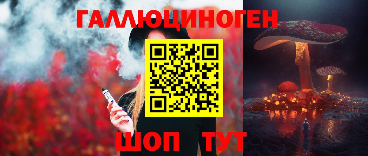 Галлюциногенные грибы Psilocybine cubensis Усть-Илимск