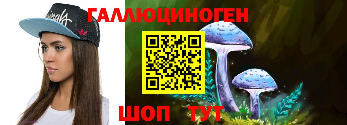 Усть-Илимск  Псилоцибиновые грибы ЛСД  Вход с VPN 